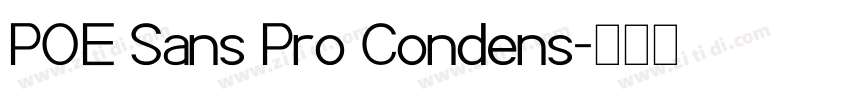 POE Sans Pro Condens字体转换